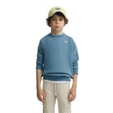 Silbon - S263021102638 – Sudadera azul 100% algodón de corte regular con dibujo en la espalda - Niño